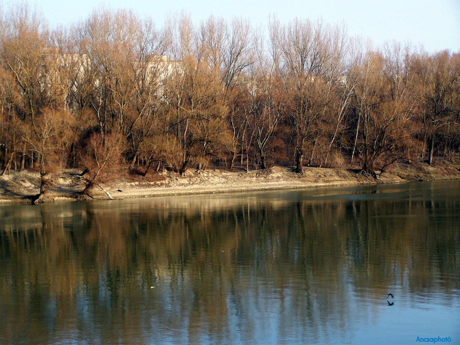 Szegedi Tiszapart
