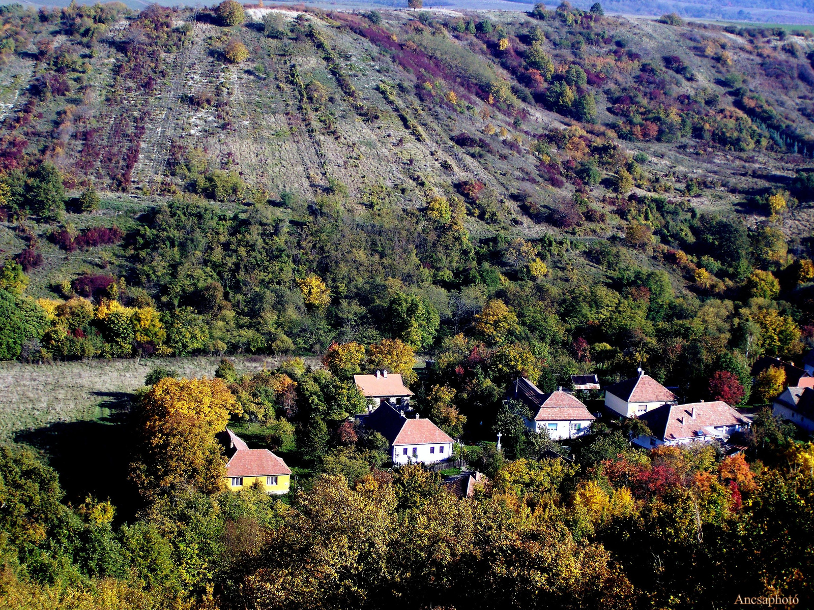 Napfény ősz