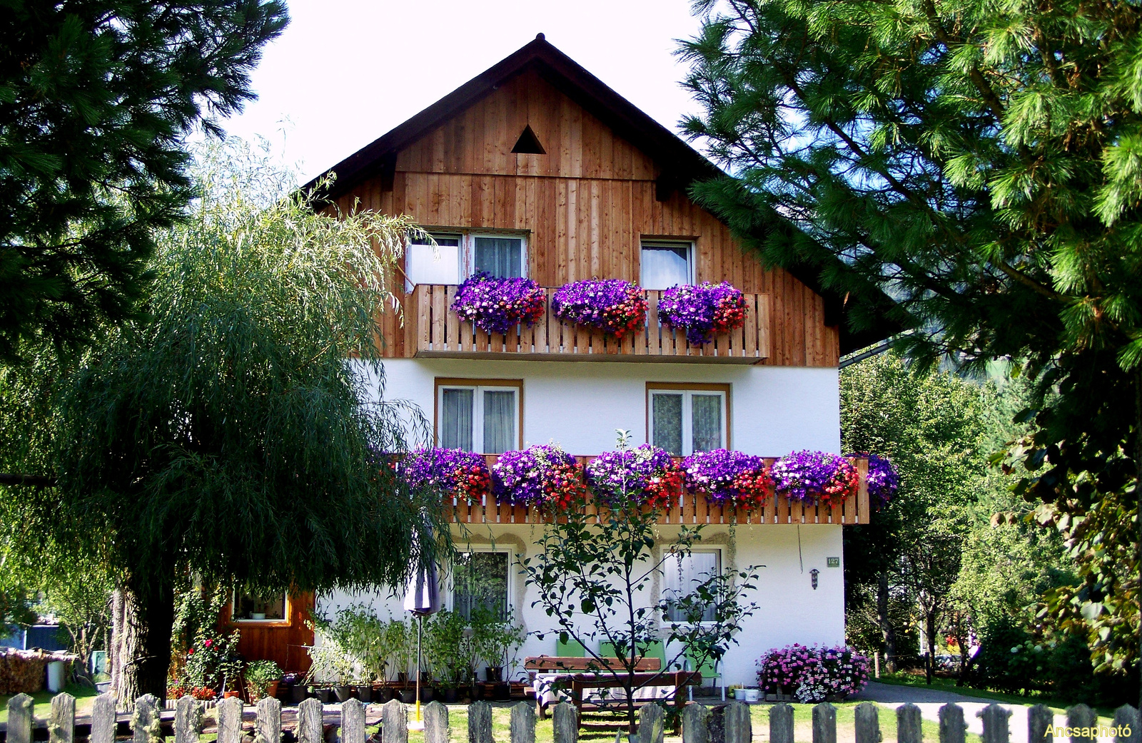 Gyönyörű virágos kis ház