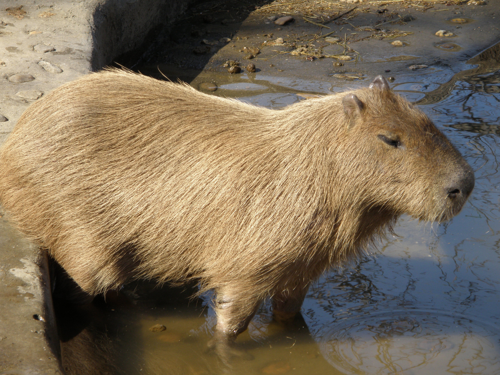 osztályfarsang 075