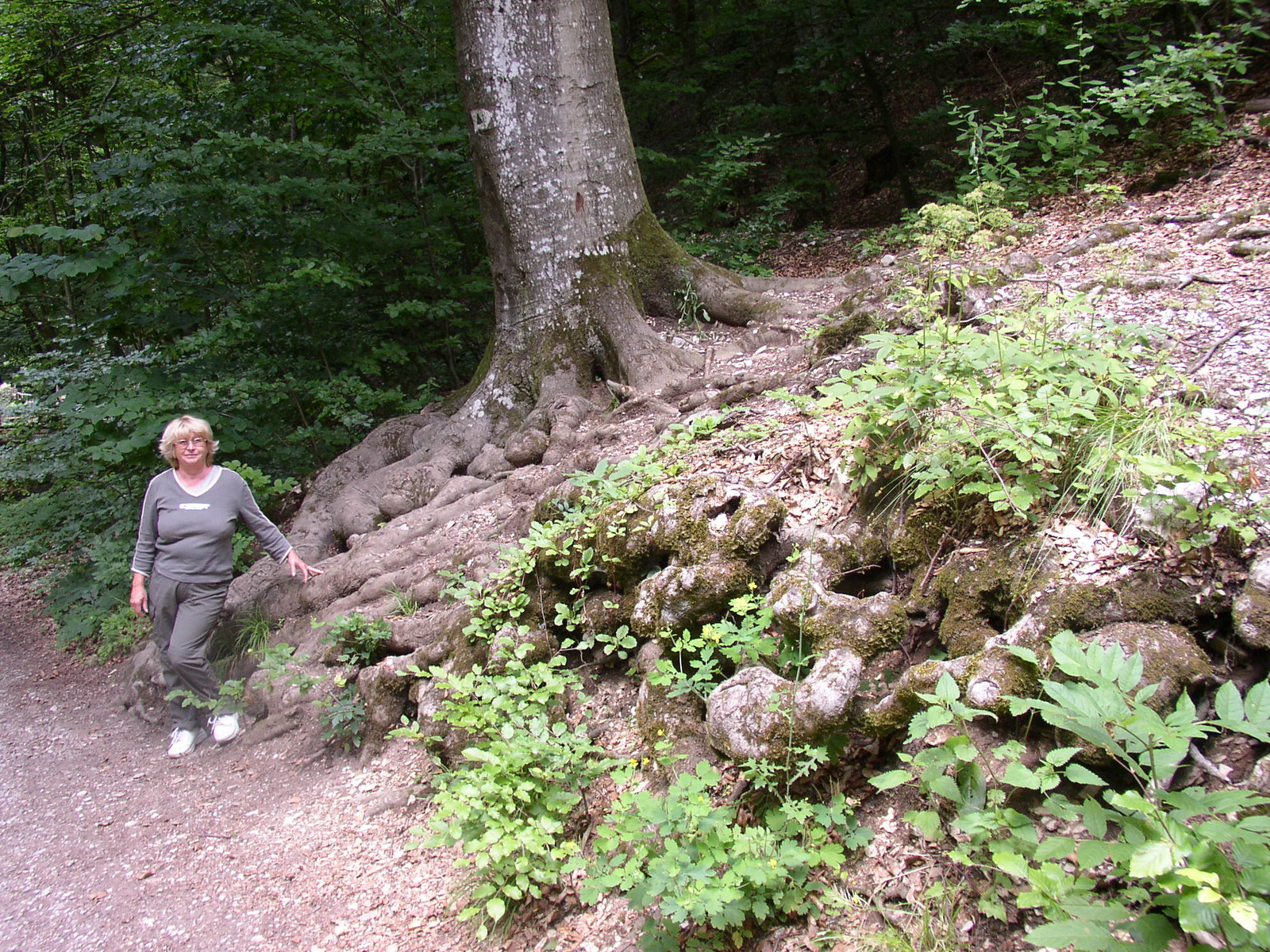 Szilvásvárad Esztergom 2011 Junius julius 035