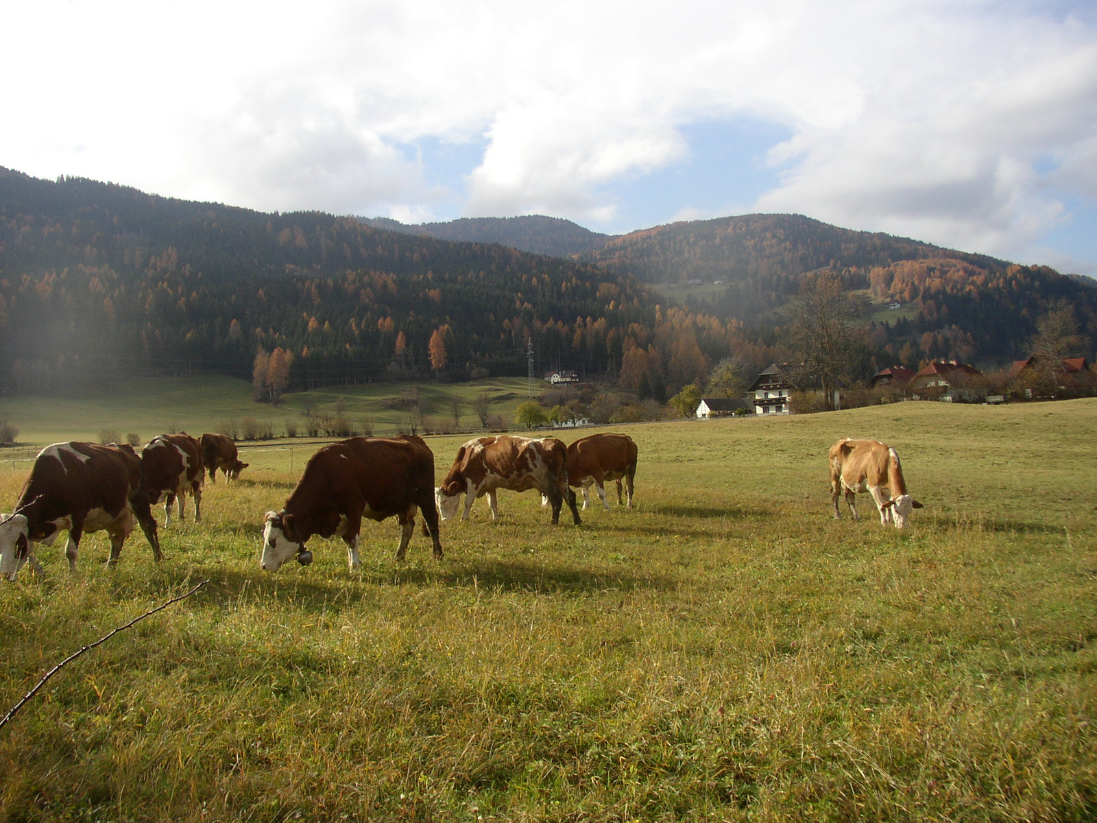 KREISBERG 2011.11.05. 021