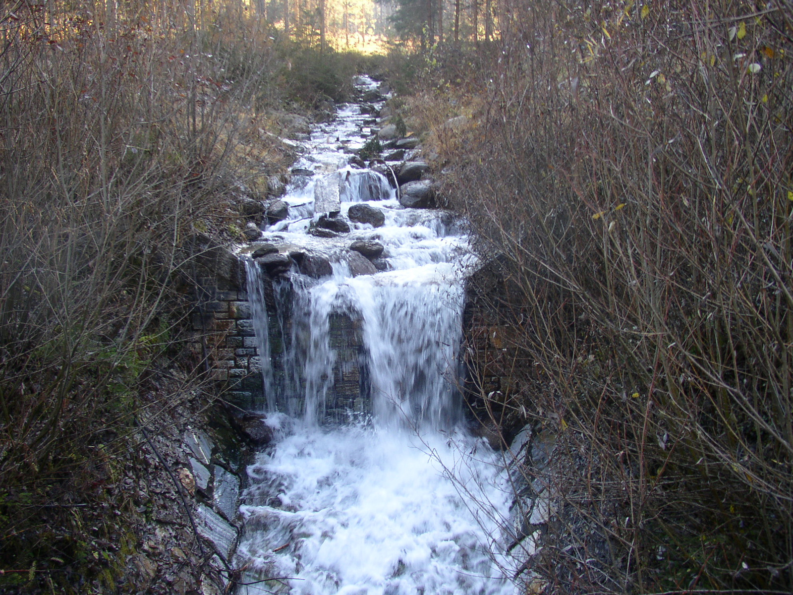 KREISBERG 2011.11.05. 082