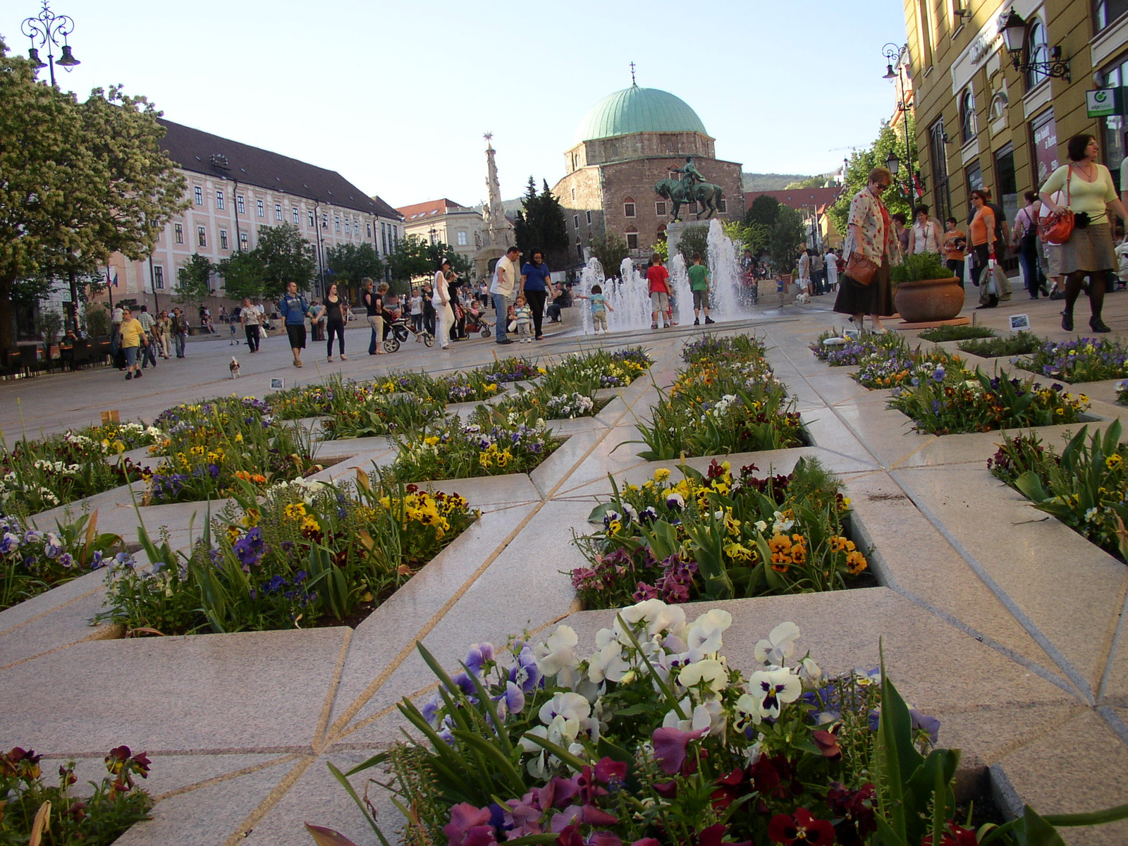 Pécs és Szigetvár 2012 április 028