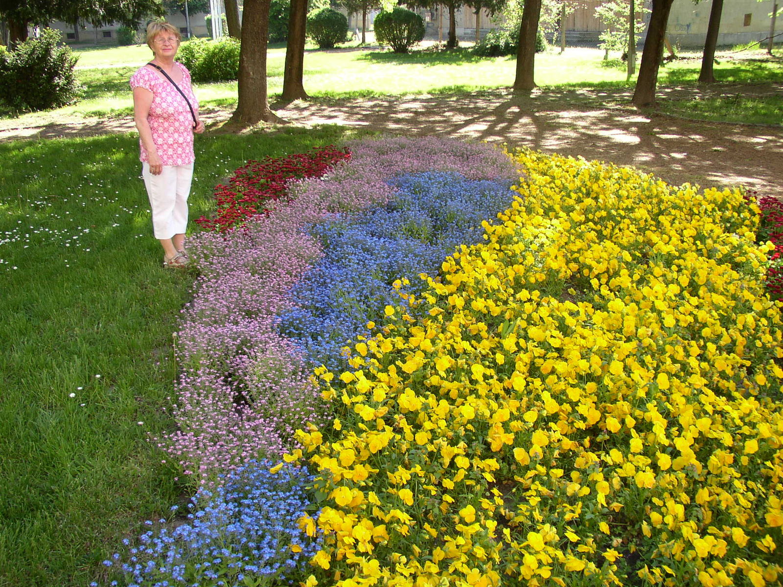 Pécs és Szigetvár 2012 április 040