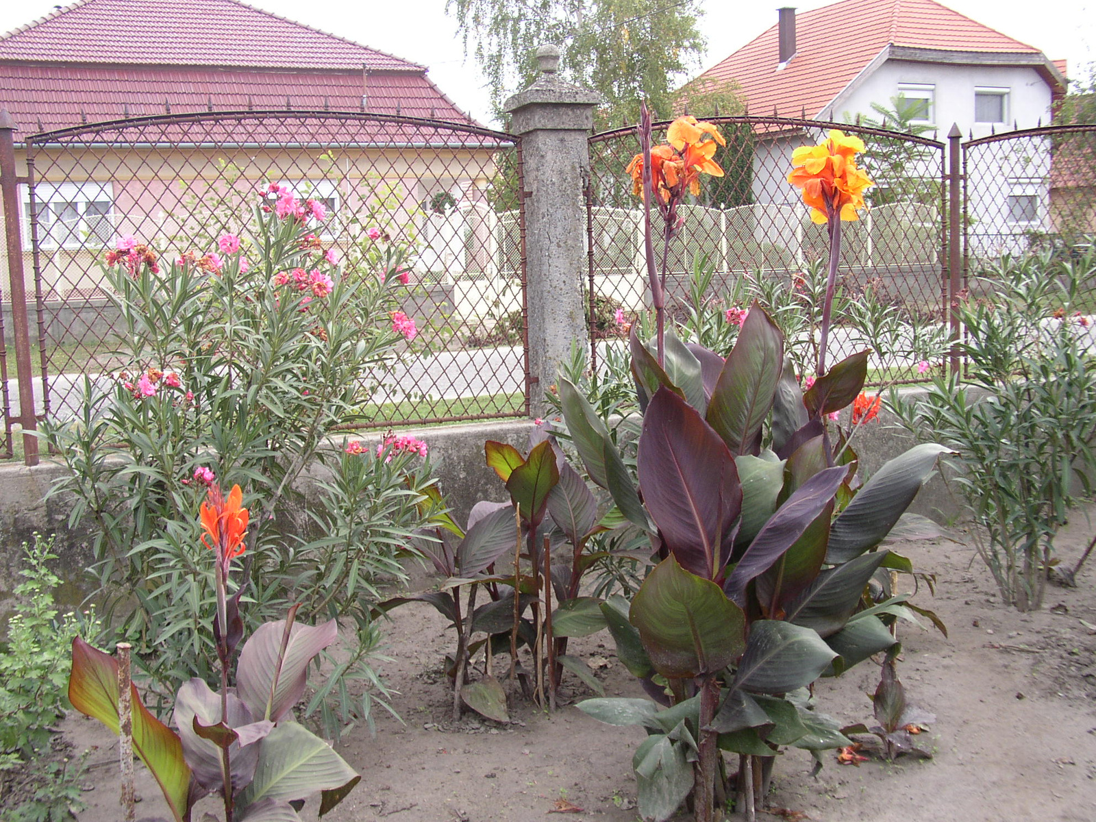 2012 oktober 06 Gödölő sétarepülés 018