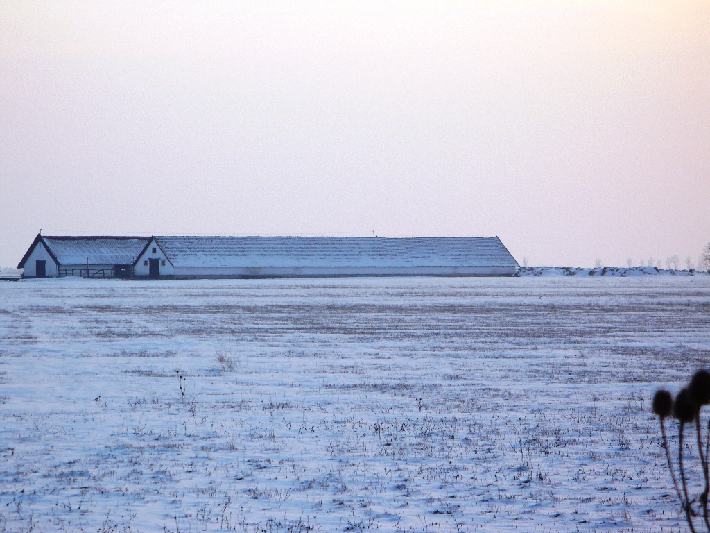 Tél-Napnyugta 104