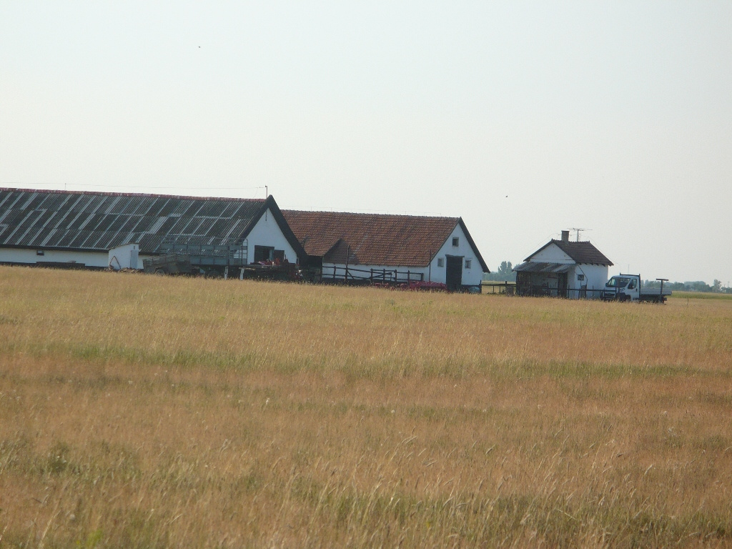 Nyár2009 070