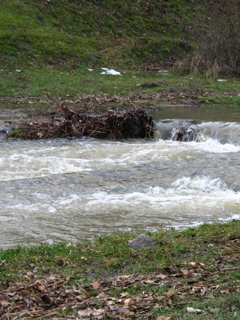 Bükkös patak áradás 048