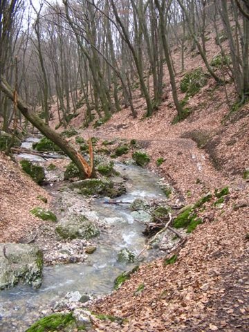 Thirring Krt.-Szentkereszt szurdok ösv. 281