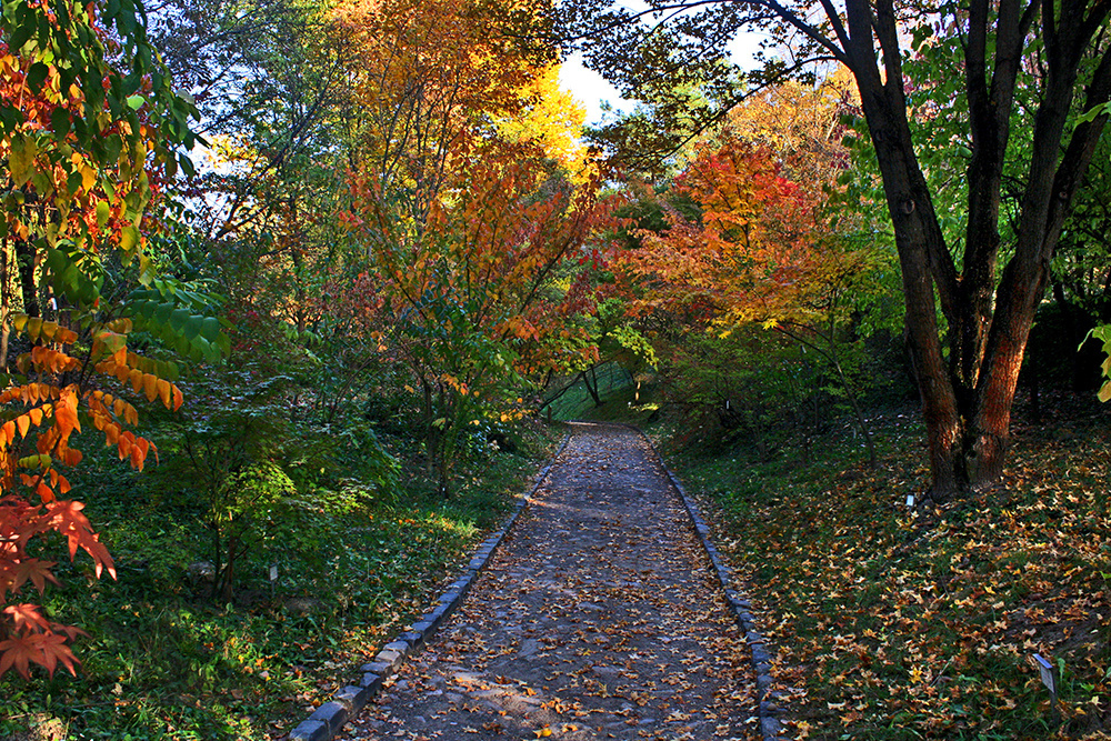 Arborétum Vácrátót ősz 12