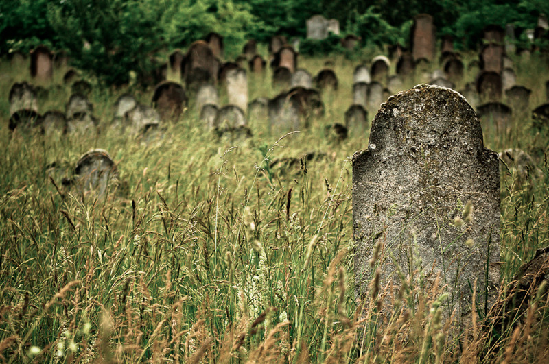 elfeledett temető V