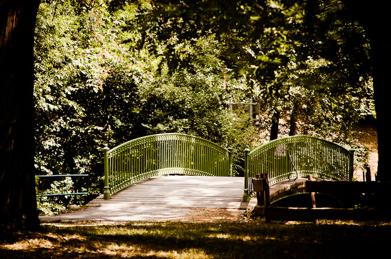 híd a parkban
