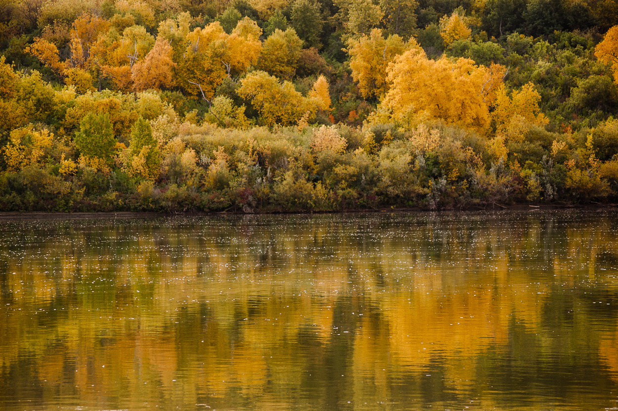 ősz a folyó mentén