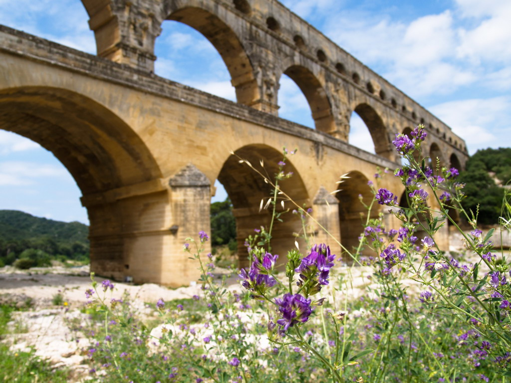 Pont du Gard + virág